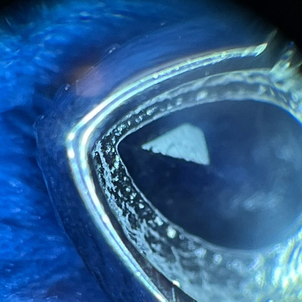 925 Sterling Silver Lab-Created Blue Sapphire & Diamond Accent Ring - Size 7.5 - Picture 5 of 9